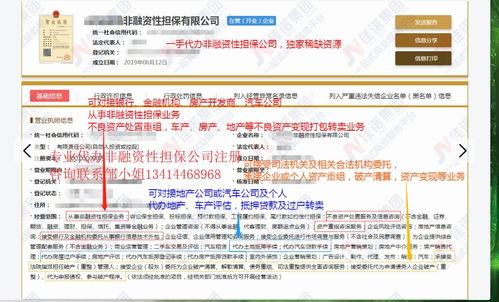 独家渠道代办非融资性担保公司 专业金融信息咨询服务指南